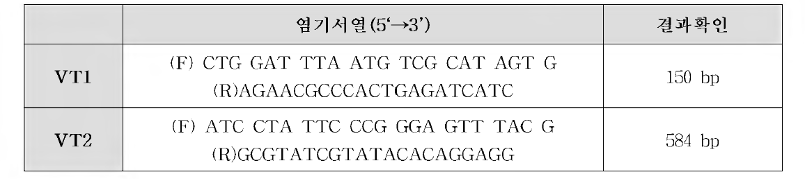 PCR primer design of Enterohemorrhagic E. coli