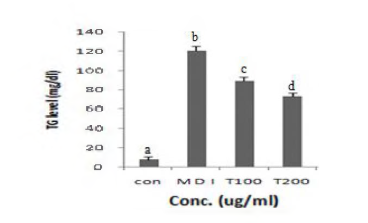 Effect of enzymatic hydrolysate of tuna cooking drip on TG component levels in differentiated 3T3-L1 adipocytes.