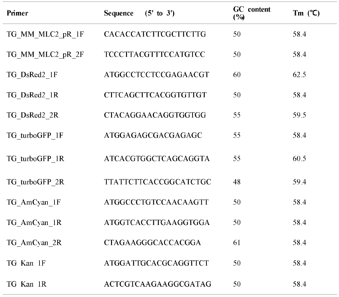 PCR primers used to amplify the segments of transgene integrant in loach genome