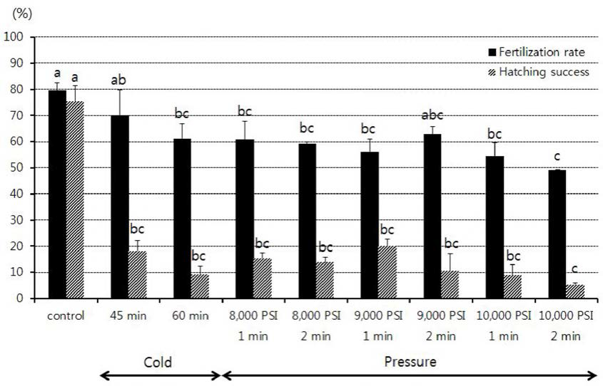 Fertilization and hatching rate of triploid by cold and water pressure shock