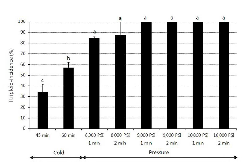 Induction rate of triploid by cold and water pressure shock