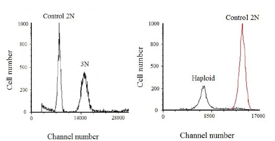 Flow cytometric histogram of triploid (3N, left) and haploid (N, right) with control (2N, diploid)