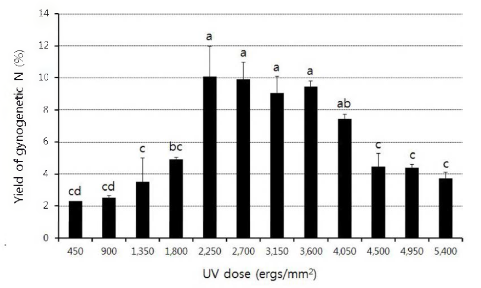 Yield of gynogenetic haploid by UV concentration