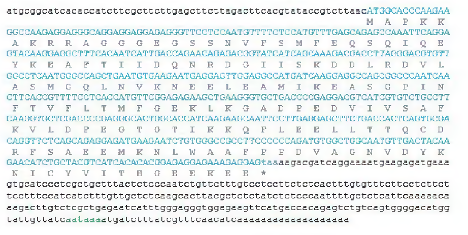 Full-length cDNA and deduced amino acid sequences of loach mlc2f gene