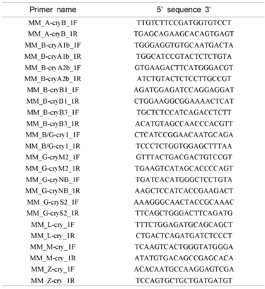 Oligonucleotide primers used for RT-PCR survey of crystallin isoforms in loach tissues