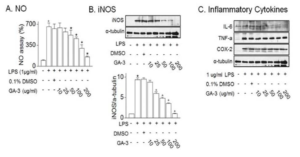 GA-3 effects on reduction of NO(A), iNOS(B) and inflmmatory cytokines(C) in Raw 264.7 macrophage