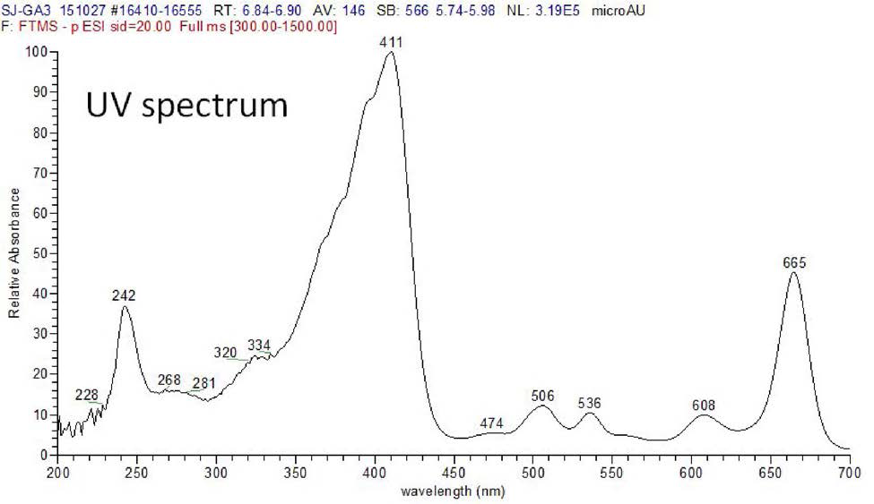 우뭇가사리로부터 분리된 pheophorbide A의 UV-spectmm 그래프