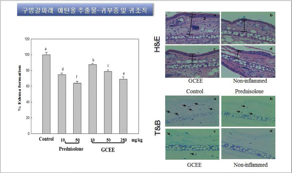 Effects of Ulva pertusa Kjellman ethanol extract on ear edema formation in croton-oil induced ICR mice