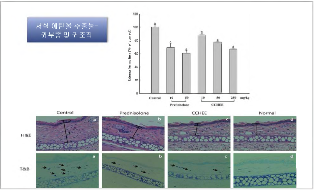 Effects of Chondria crassicaulis ethanol extract on ear edema formation in croton-oil induced ICR mice