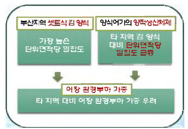 부산지역 김 산업 문제점 (2)