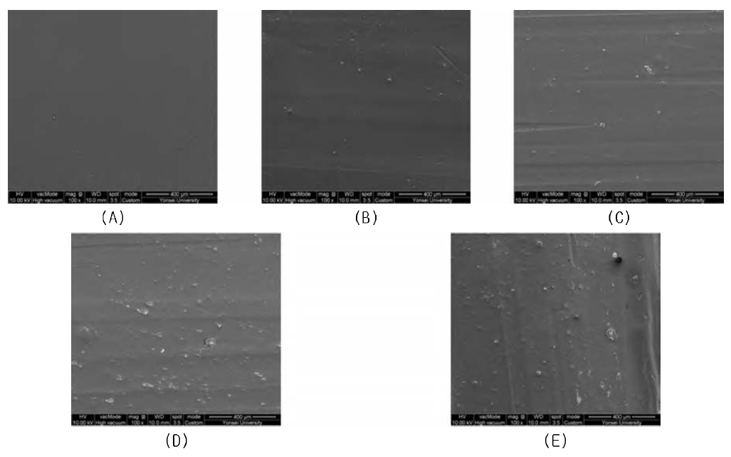 SEM images of top surface for the antimicrobial PP film containing Ag-Zn