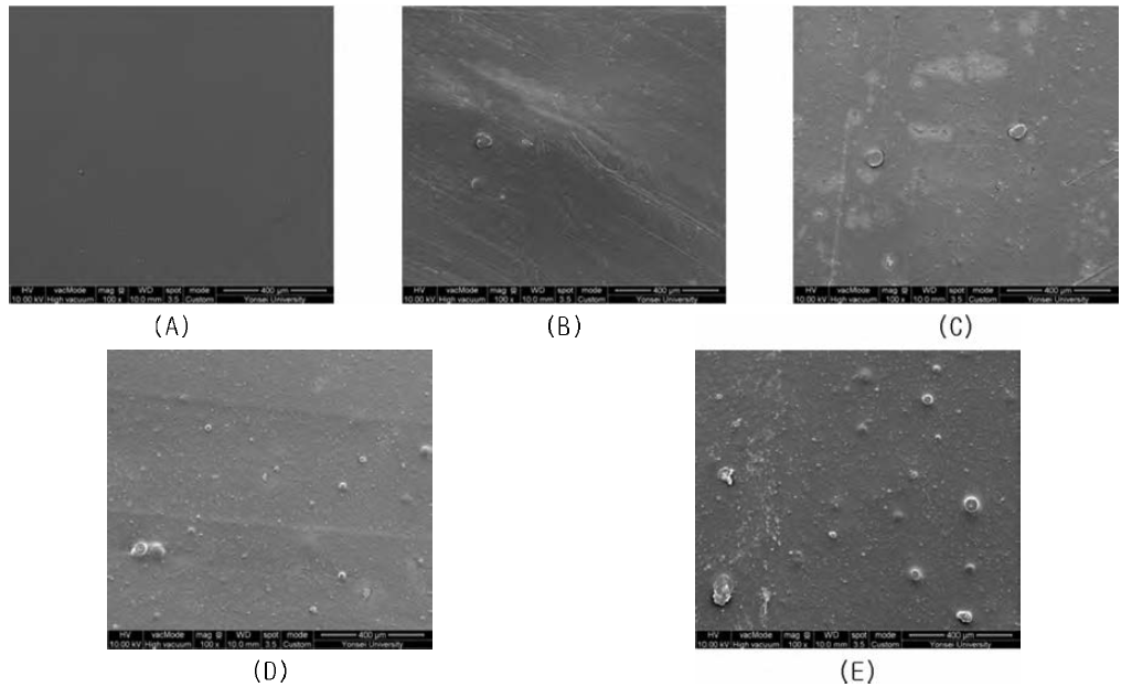 SEM images of top surface for the antimicrobial PP film containing Ag-zeolite