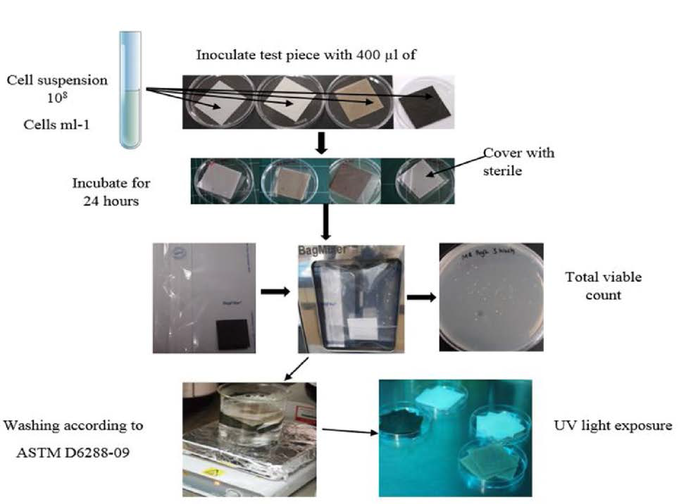 Schematic representation of antimicrobial analysis of the sheet samples using JIS Z 2801