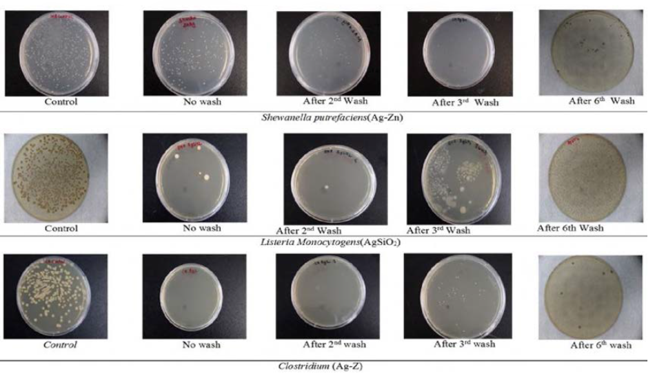 Antimicrobial test images for Shewanella gaetbuli, Clostridium, Listeria monocytogen