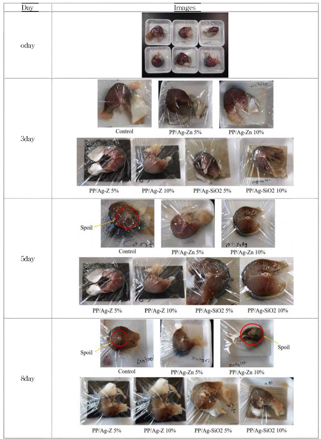 Images of stored fish samples according to antimicrobial fish container treatments on day 8