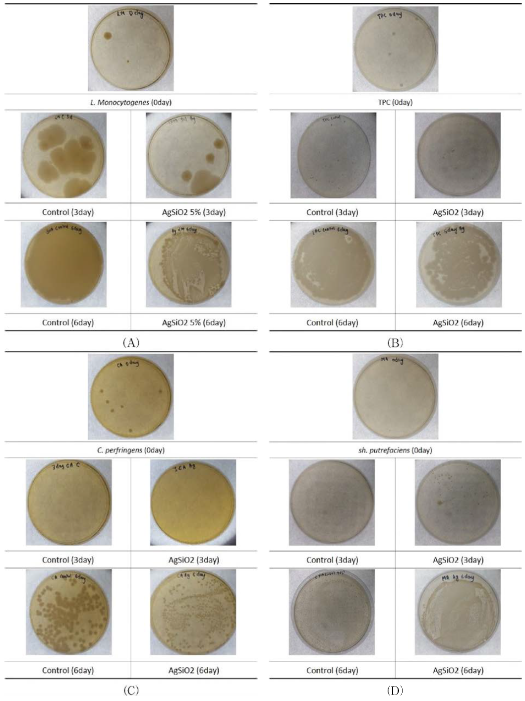 Antimicrobial test images for (A)Listeria monocytogen, (B)Total plate count, (C) Clostridium, (D)Shewanella gaetbuli