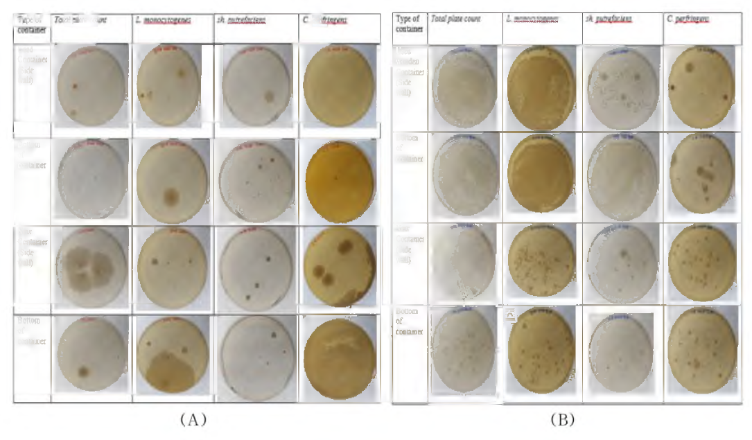 Antimicrobial count of (A)antimicrobial container, (B)wooden container