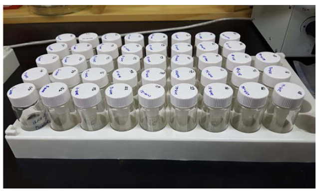 해외 동물플랑크톤 보관을 위한 glass vial(20㎖)