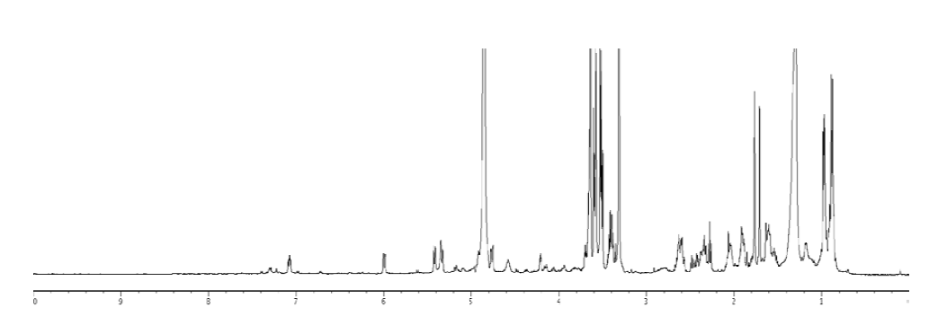 1H NMR spectrum of broth extract(bEA) of the strain 142BD168