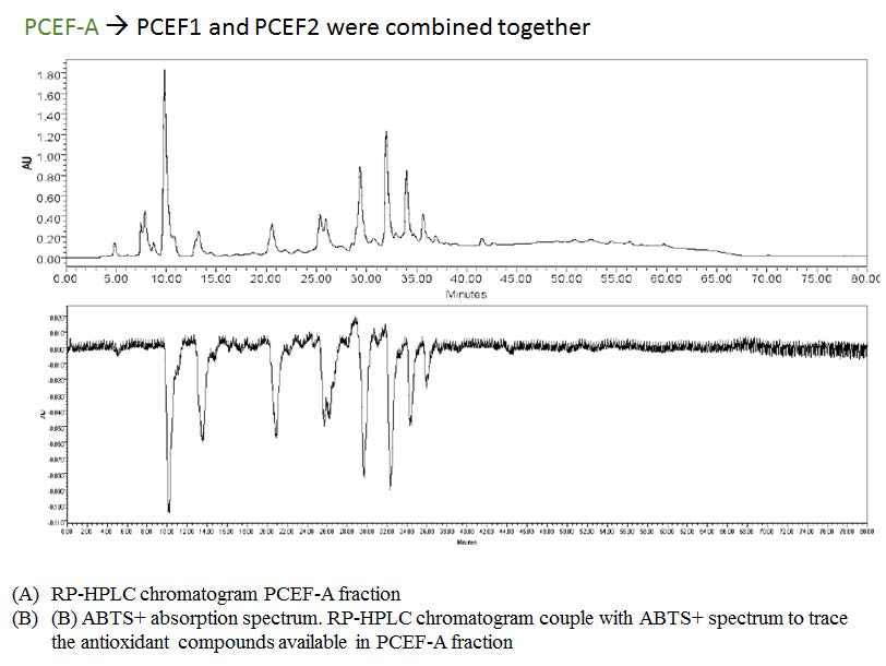 PCEF-A의 HPLC를 이용한 ABTS radical 소거능 평가