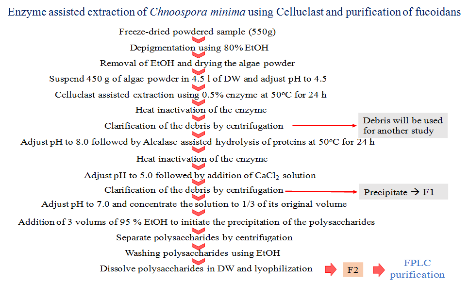 Chnoospora minima 해조류의 Celluclast 가수분해물로부터 활성 다당류 분리방법