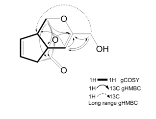 COSY and HMBC correlations of compound 065-5