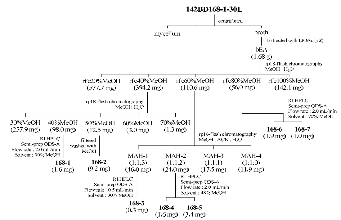 Isolation scheme of compounds 168-1~7 from the strain 142BD168