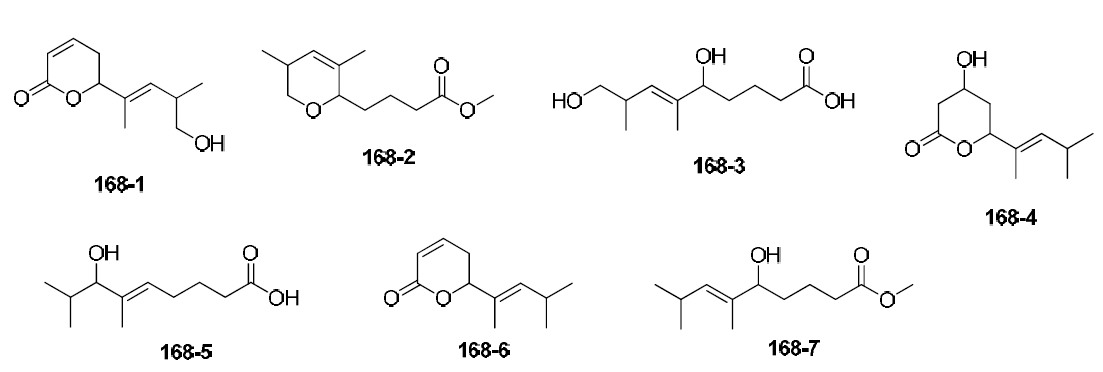 Structure of compounds 168-1∼7