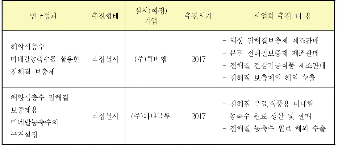 연구개발 종료 후 사업화 방안