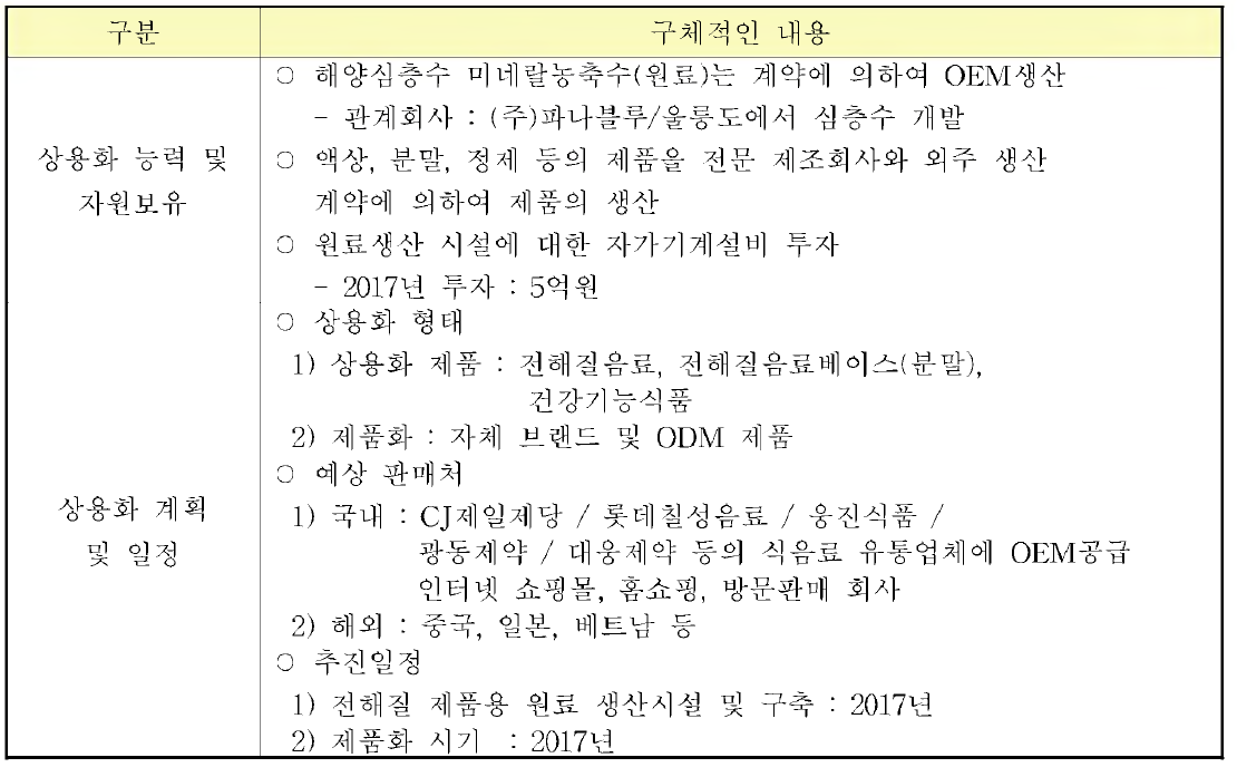 사업화 추진 계획