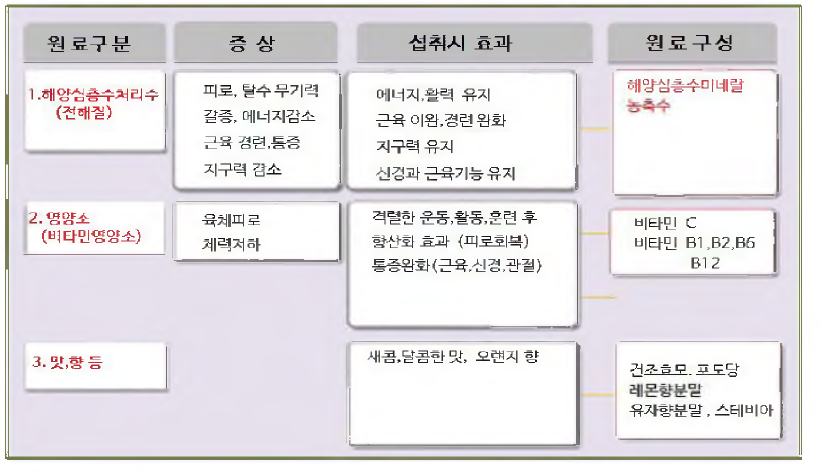 해양심층수 전해질 보충제의 제품 포뮬라 컨셉