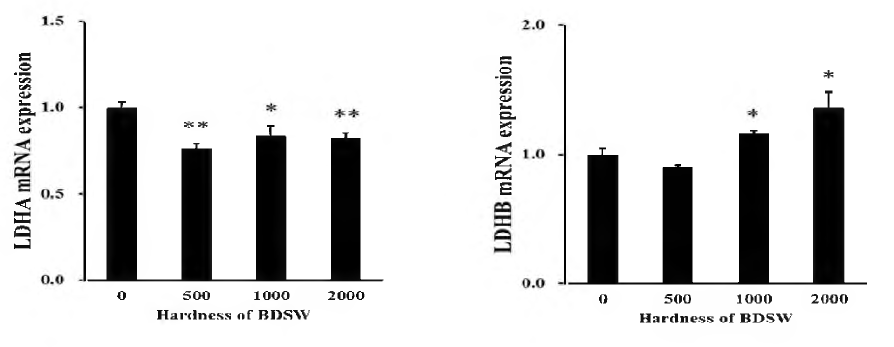 LDH A/B mRNA expression