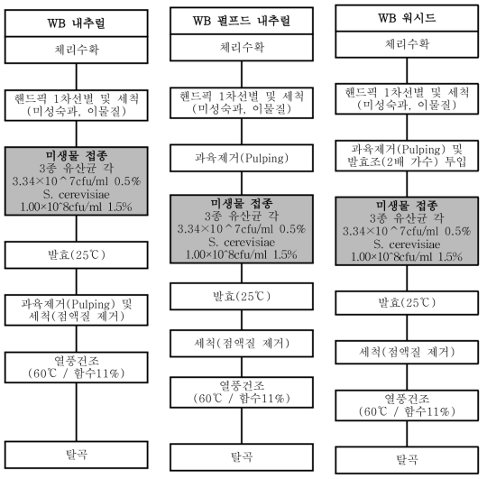 미생물 접종방식을 도입한 커피체리 가공과정