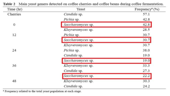 Microbiological Study During Coffee Fermentation of Coffea arabica var. chiangmai 80 in Thailand의 표2