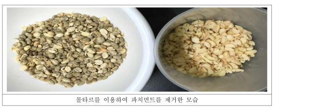 파치먼트를 제거한 발효생두