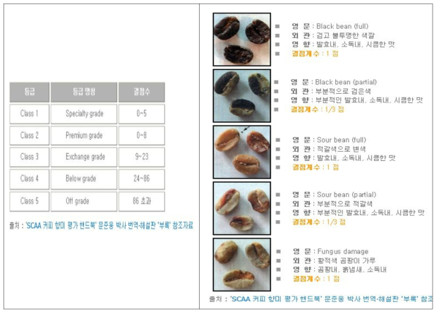 결점두(Defect)에 따른 SCAA 생두 등급판정 및 결점계수