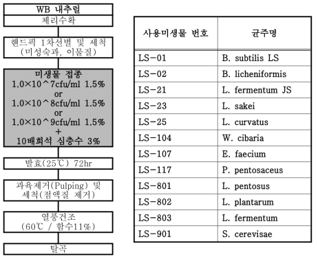 커피체리 발효적합성을 검토하기 위한 커피체리 가공과정(좌) 및 사용균주(우)