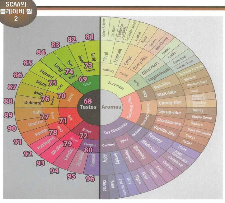 SCAA 플레이버 휠