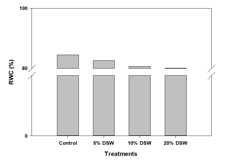 The relative water content (RWC) of leaves of coffee on different concentration of DSW