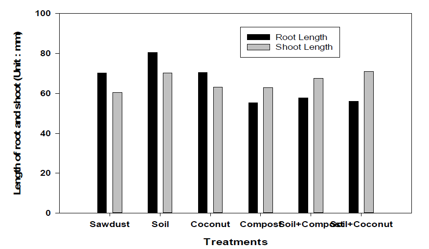 토양(media) 조성에 따른 커피 육묘의 생육(지상부/지하부 길이) 비교