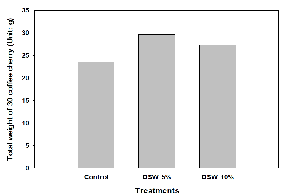 생육중인 해양심층수 처리구별 2차 커피체리 수확 후 생체중(Fresh weignt, FW) 비교