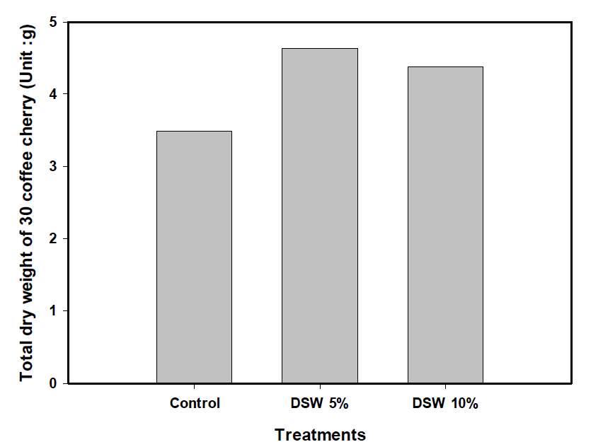 생육중인 해양심층수 처리구별 2차 커피체리 수확 후(dried) 무게 비교