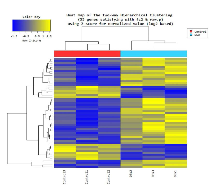 DEG 리스트에 대한 Heat map