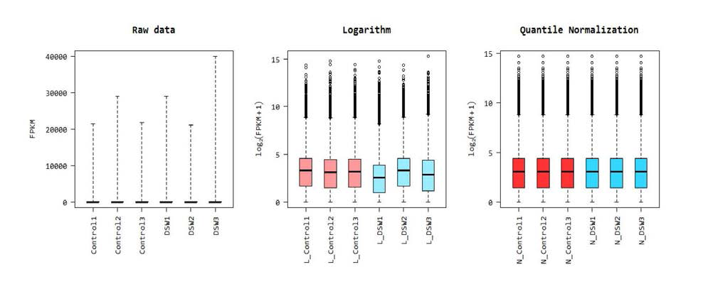 Expression distribution of samples