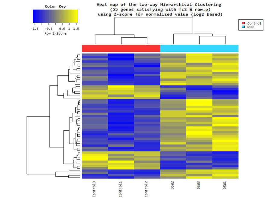 Hierachical clustering analysis (Euclidean Distance, complete Linkage)