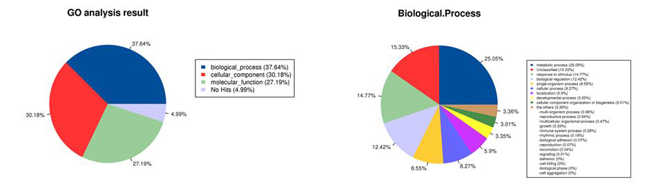 Go analysis result & Biological process