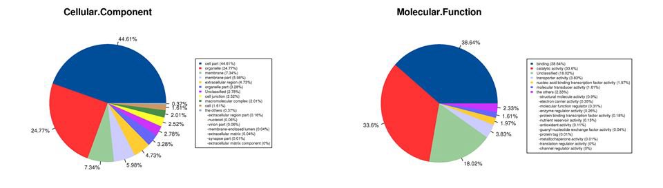 Cellular Component & Molecular function