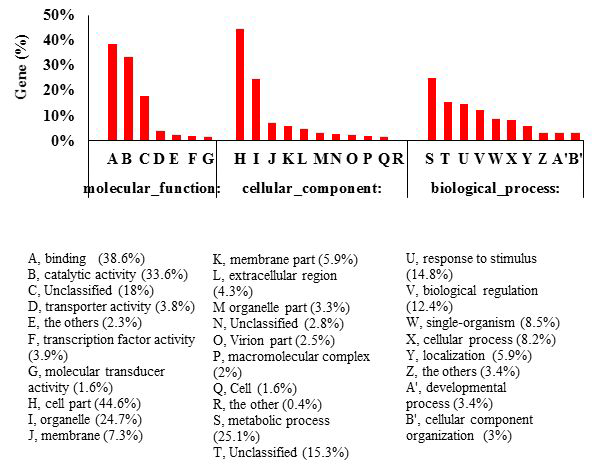 The percentage of genes involved into different GO sub-categorie