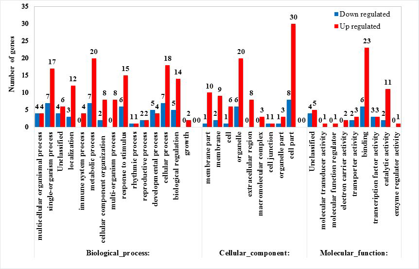 Differentially expressed genes involved in different GO sub-categories