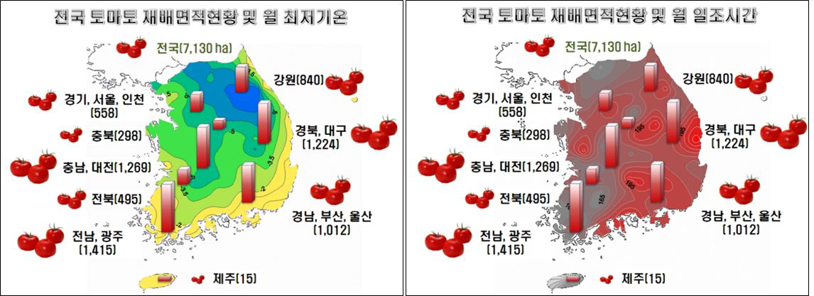 최저기간 및 일조시간에 따른 전국 토마토 재배면적현황